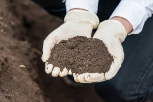 Woman holding soil